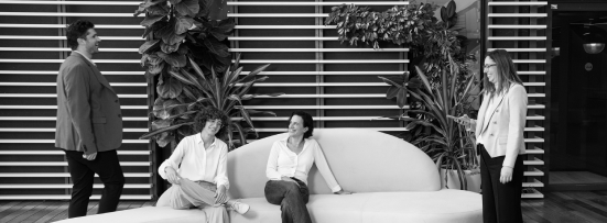 צוות המתכנה על ספה